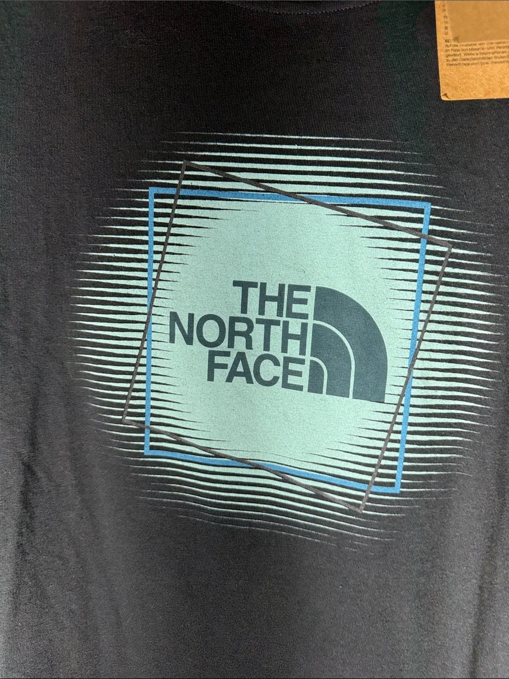 The North Face men short